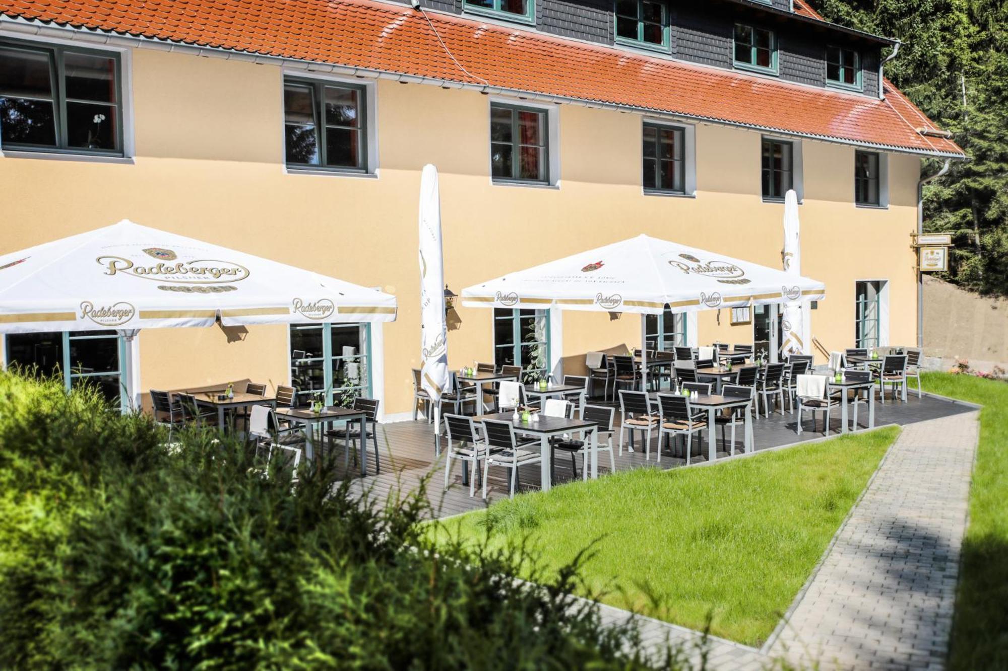 Waldhotel Am Aschergraben Geising Exterior photo